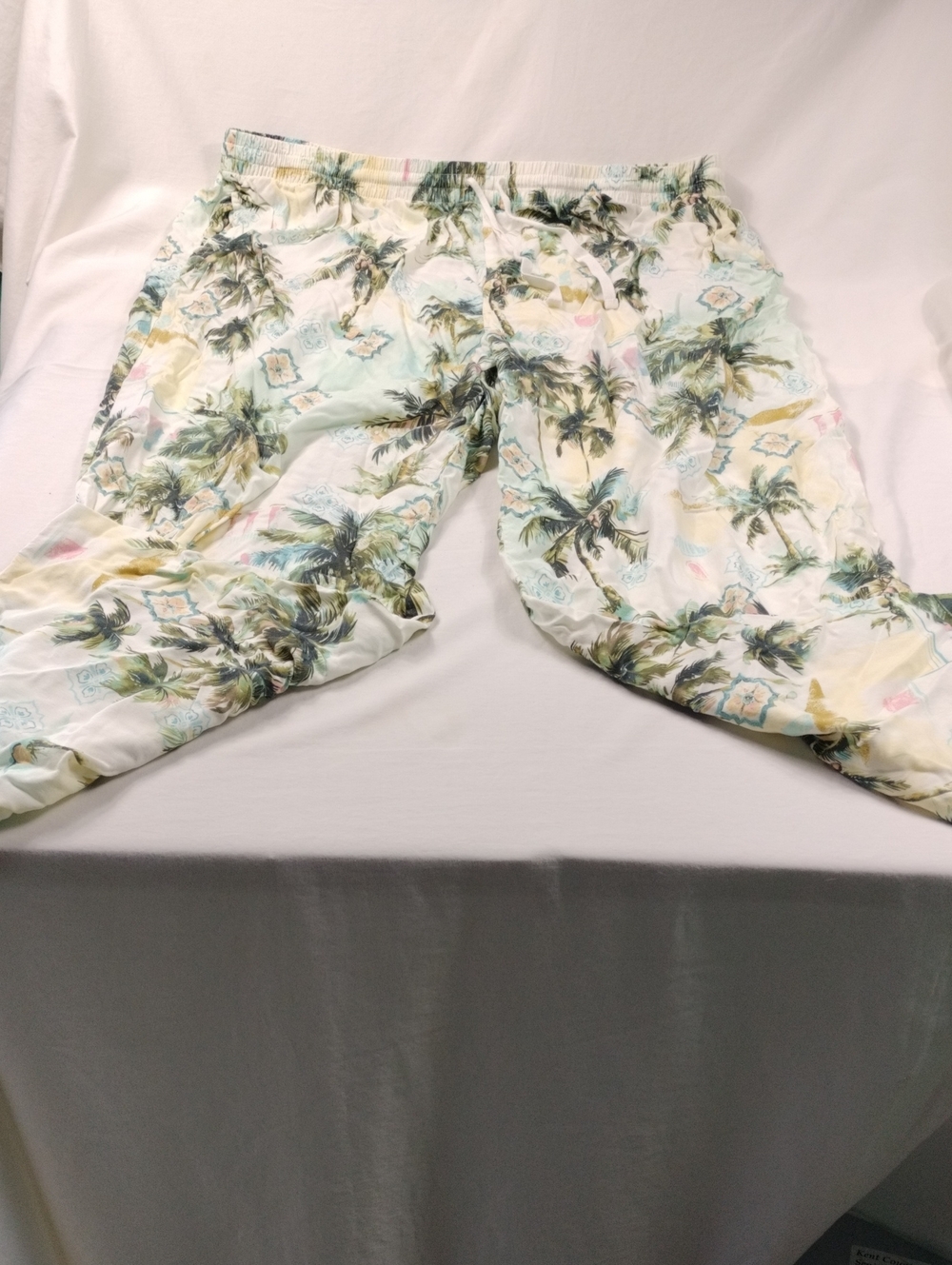 Liz Claiborne Women's Cream Floral Rayon Leisure Pants With Drawstring- 2X